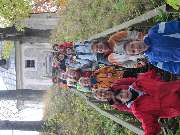 zv�t�it